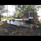 Gemüse wird in einem Bewässerungskanal gewaschen